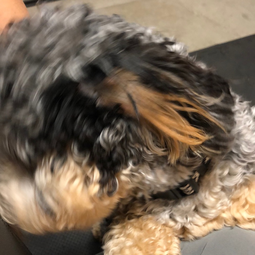 Meet your Posher, Ana